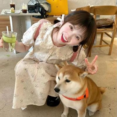 妙手小神偷